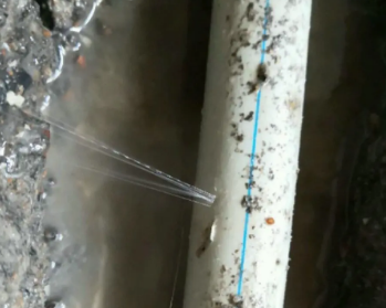 神池卫生间测漏水多少钱