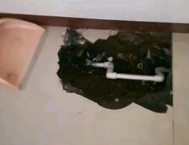 神池卫生间测漏水多少钱